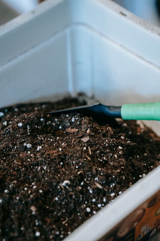 Beginner Tips for Composting at Home: A Simple Guide